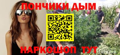 гашик Краснознаменск